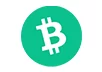 CryptoCasino Casino Logo